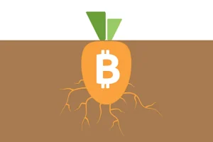 Todo lo que necesitas saber de Taproot en Bitcoin