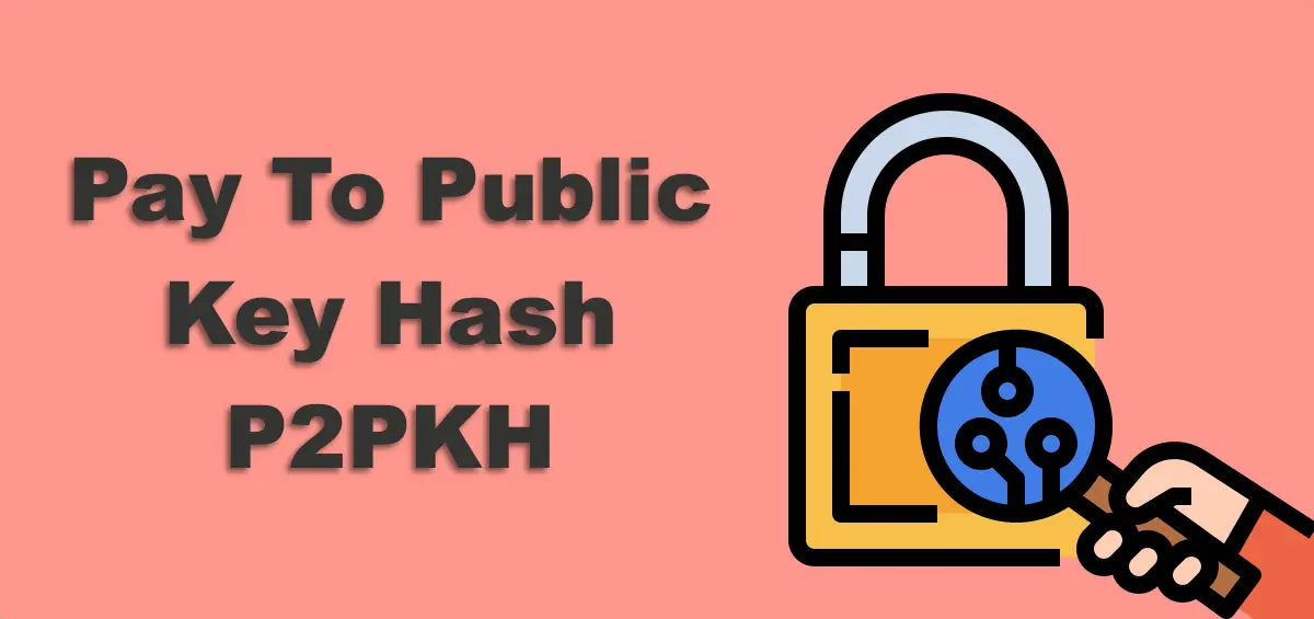 Qué Es Pay To Public Key Hash? [P2PKH] - Criptotario
