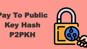 Qué Es Pay To Public Key Hash