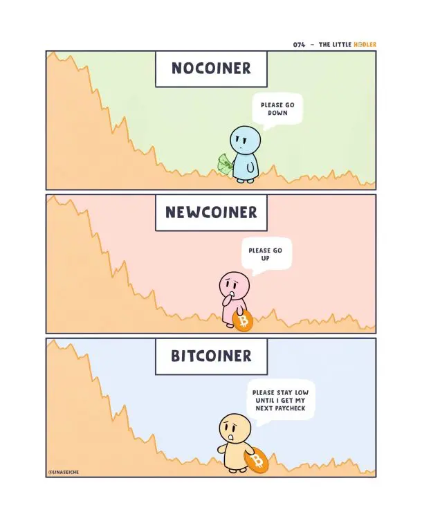 Diferencias entre bitcoiner y nocoiner