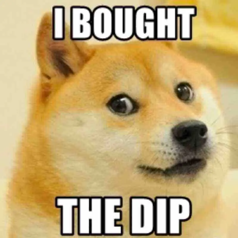 Perro Inu compro el Dip