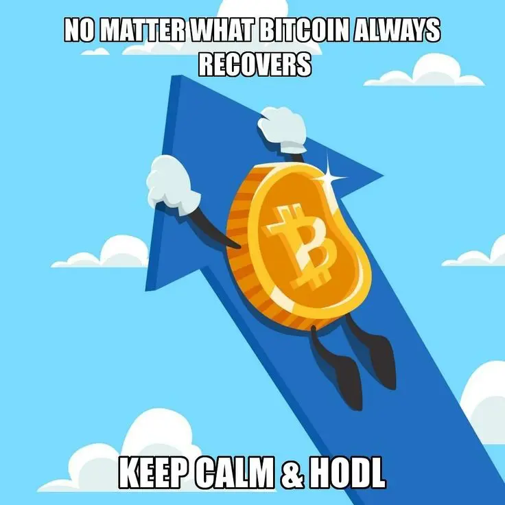 Buy and Hold Bitcoin